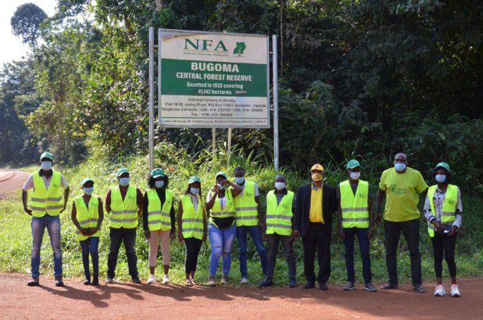 Environmentalists remain firmly opposed to turning Bugoma forest into a sugarcane plantation.