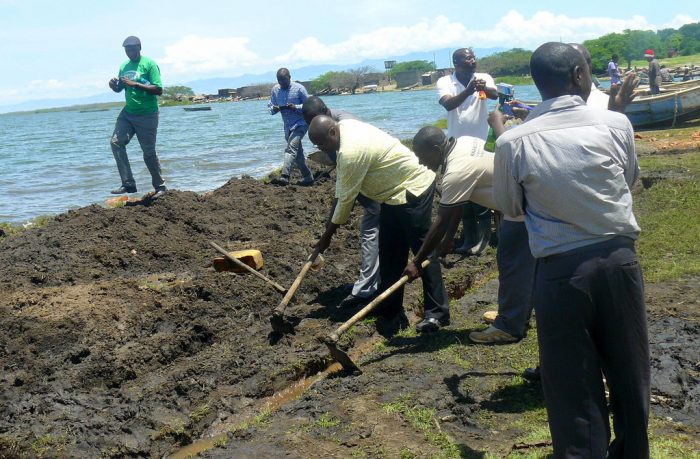 Ecosystems Restoration