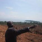 Land grabbing for palm oil in Uganda.