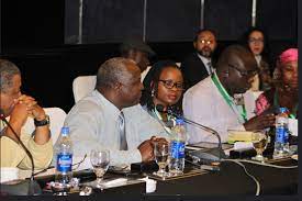 NAPE Participates in the 6th Special Session of the African Ministerial Conference on the Environment (AMCEN)