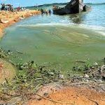 ‘Lake Victoria waters polluted.