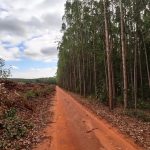 NAPE approved as a Friend of Court (Amicus Curie) by Ugandan High court to provide expert information and evidence on cases of Environmental Rights abuse