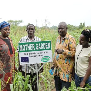 Members of BUSUCA in thier established group mother garden supported by NAPE, Kikuube district.