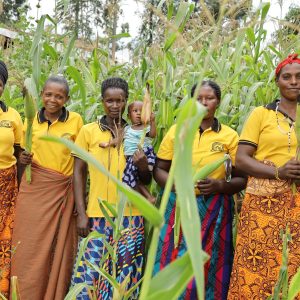 Women from Kajogo in their group maize garden supported by NAPE