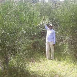Photos showing revegetated slopes of Lake Katwe