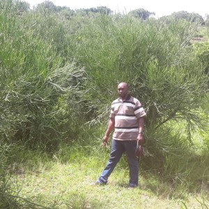 Photos showing revegetated slopes of Lake Katwe