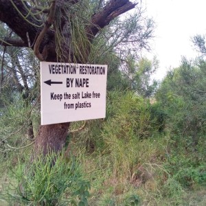Photos showing revegetated slopes of Lake Katwe
